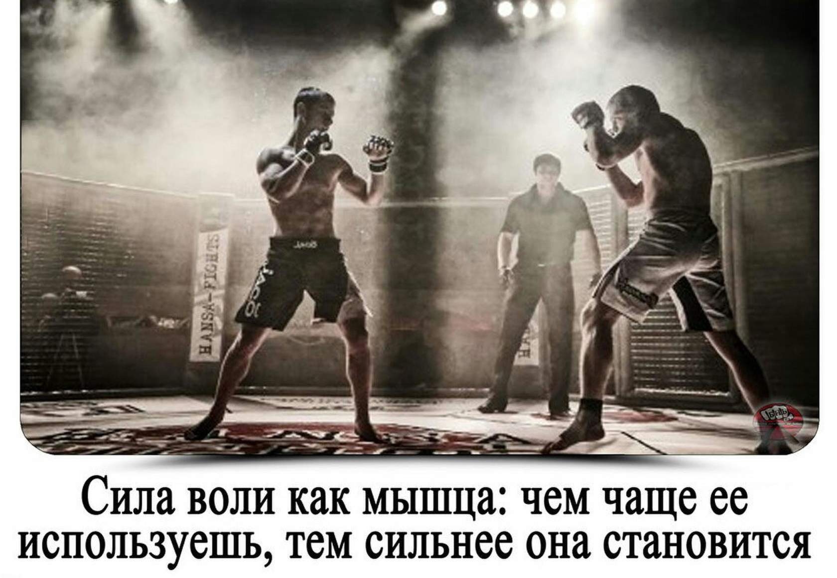 г33.jpg