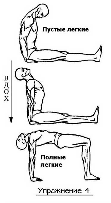 oko-4.jpg