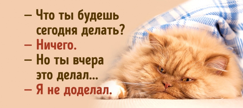 18030915-30293655-v05_01_preview-0-1476360666-1476360670-1410-3-1476360670-1476361934-850-32e9147584-1476368292.jpg
