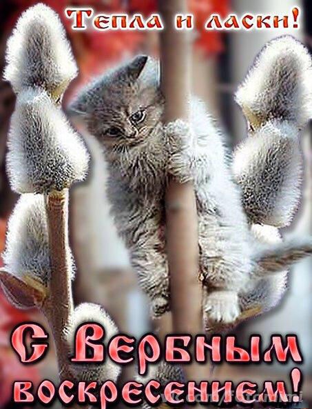 IMG_0179.JPG