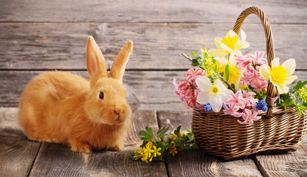 Bedeutung-Ostern-600.jpg