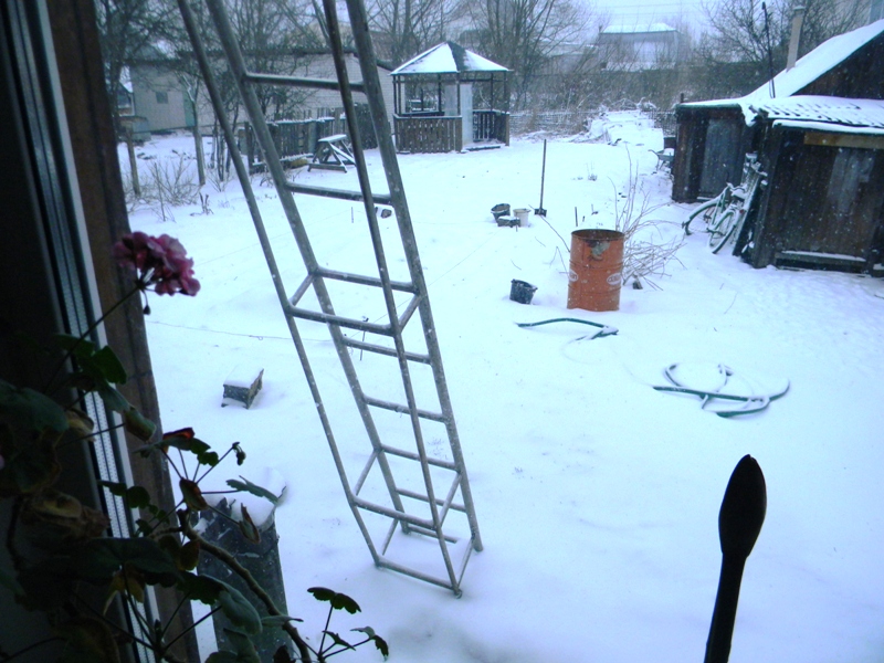 DSCN6811.JPG