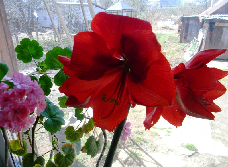 DSCN6818.JPG