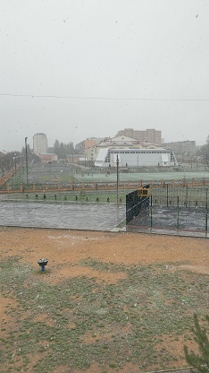 IMG_20170508_105725.jpg