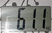 61,1.jpg