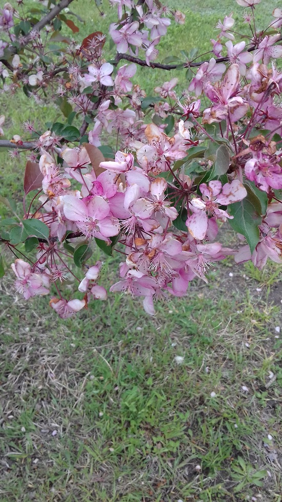 20170513_135826.jpg