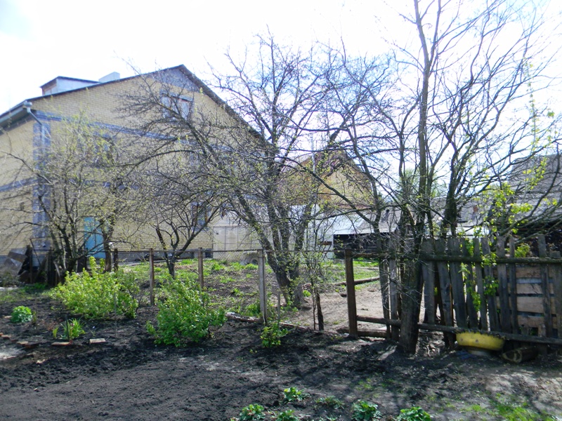 DSCN6843.JPG