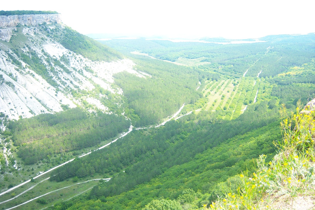 100_6530.JPG