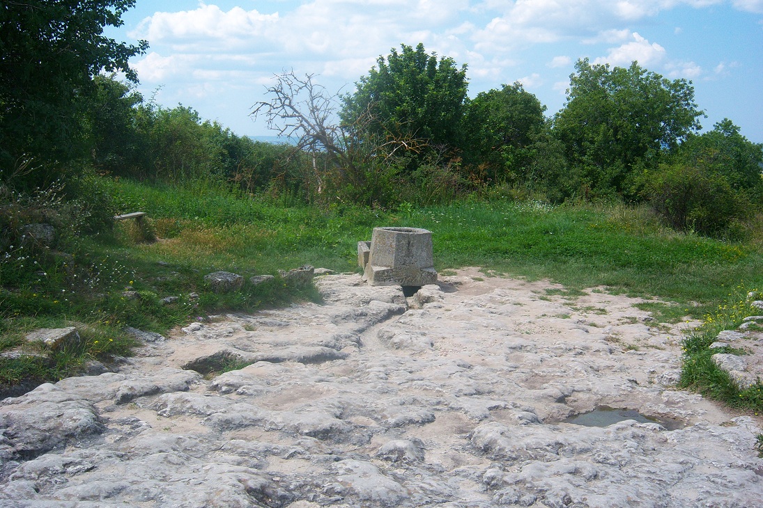 100_6538.JPG