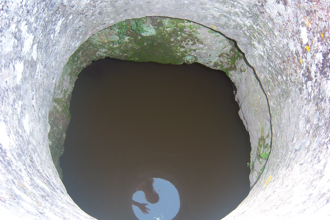 100_6540.JPG