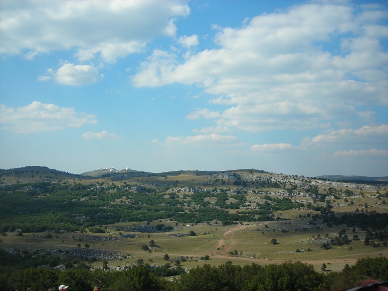 DSCN0570.JPG