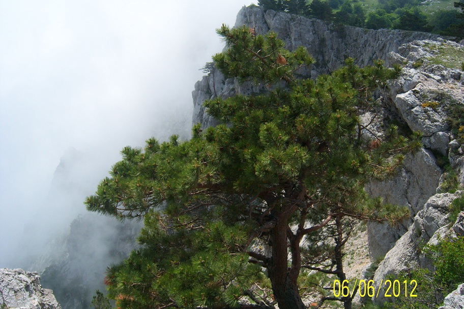 100_5529.JPG