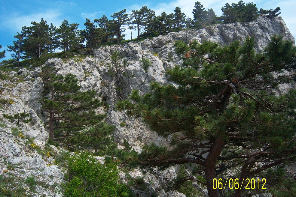 100_5530.JPG