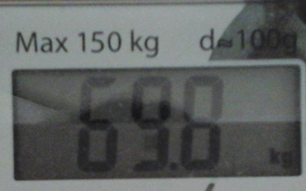 20170601_113430-1.jpg
