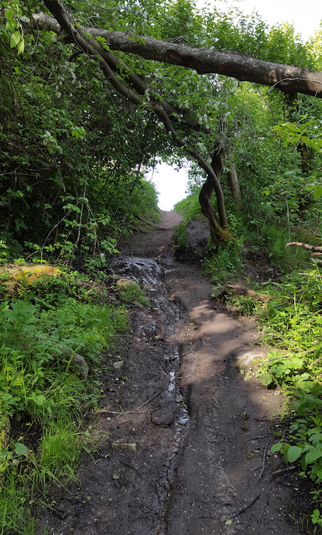 20170601_083318.jpg