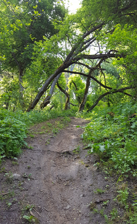 20170601_083940.jpg