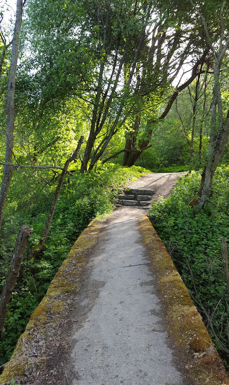 20170601_084444.jpg