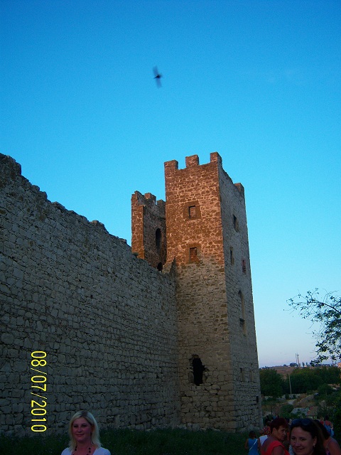 196.jpg