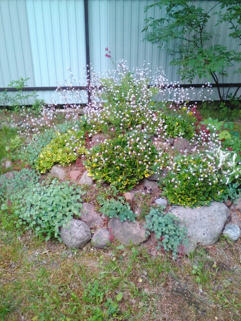 Lenovo_A1000_IMG_20170701_184036.jpg
