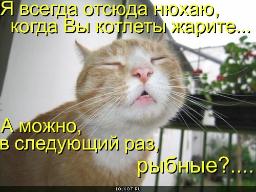 rybnyye-kotlety_1278615607.jpg