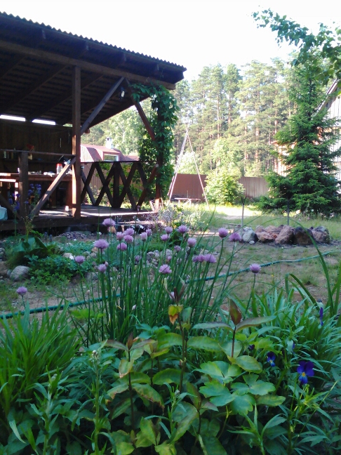 Lenovo_A1000_IMG_20170703_184935.jpg