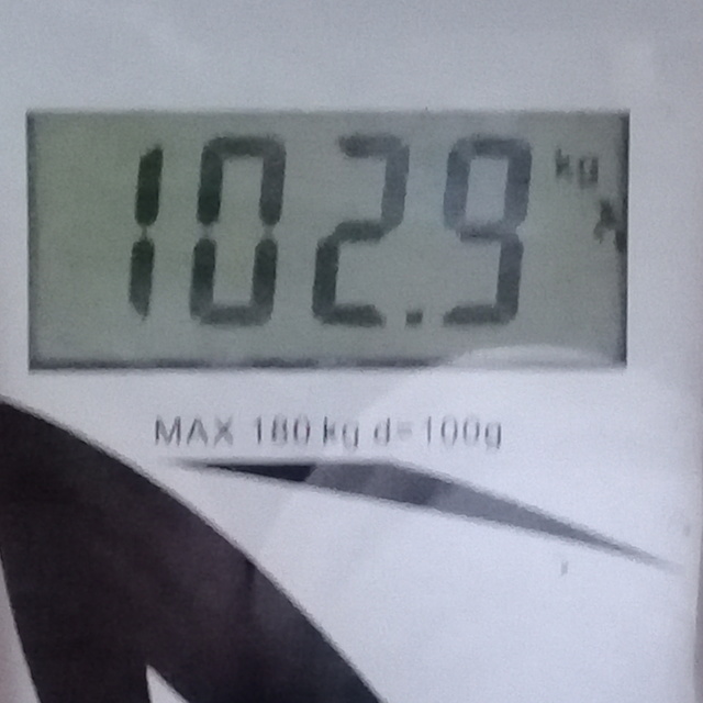 1025203.jpg