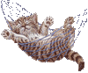 0_49051_6c0caee6_XS.gif