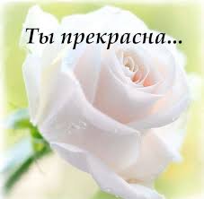 Без названия (2).jpg