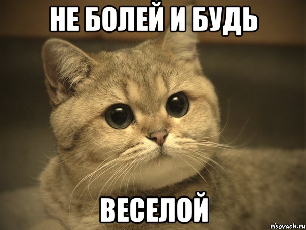 pidrila-ebanaya-kotik_41657278_orig_.jpeg