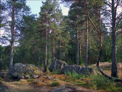 камни.jpg