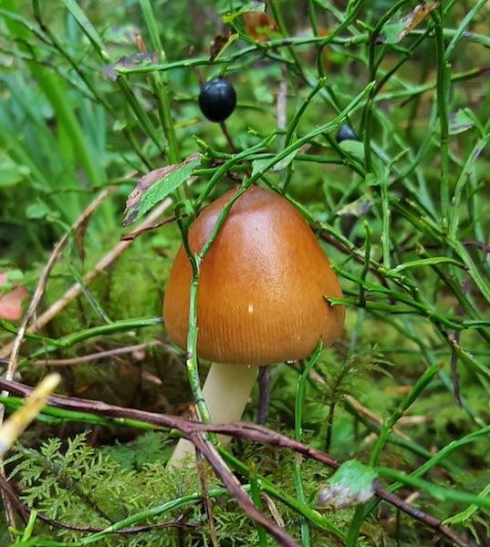 20170913_094455.jpg