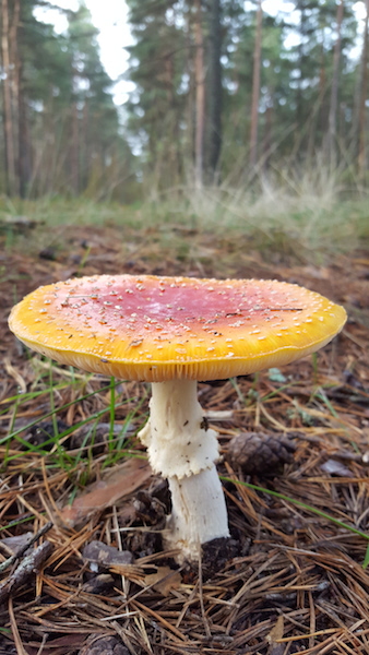 20170913_090351.jpg