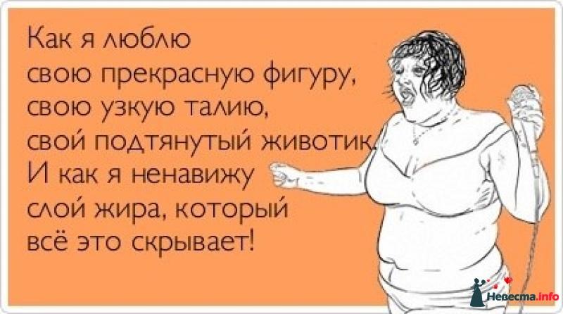 223163932_6e0b020bf2eaf6d91f002d2c2561fbf1_800.jpg
