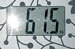 61,5.jpg