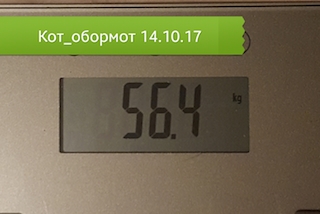 20171012_103426.jpg
