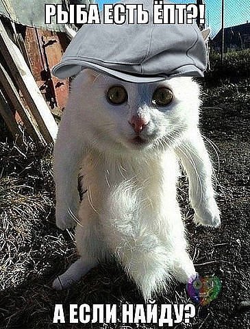 Picture.jpg