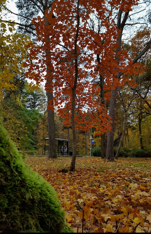 20171017_153337.jpg