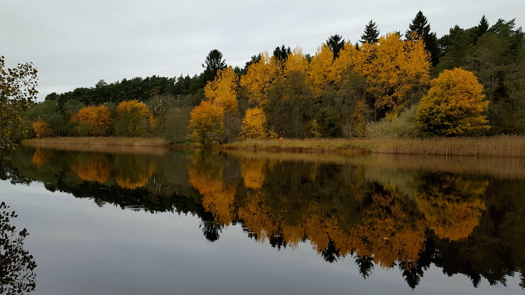 20171017_153216.jpg