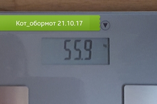 20171017_152247.jpg