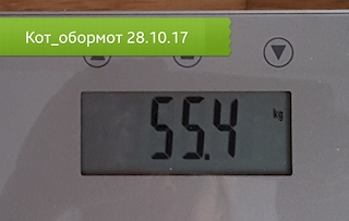20171024_094631.jpg