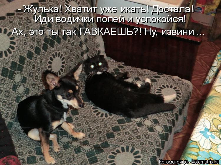 kotomatritsa_Y (1).jpg