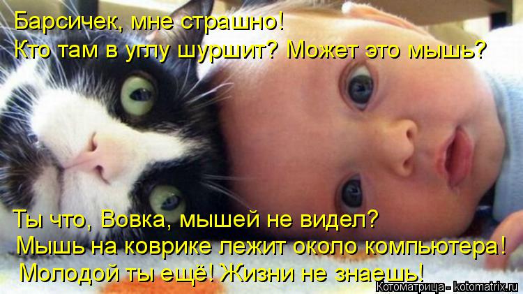 kotomatritsa_n (1).jpg