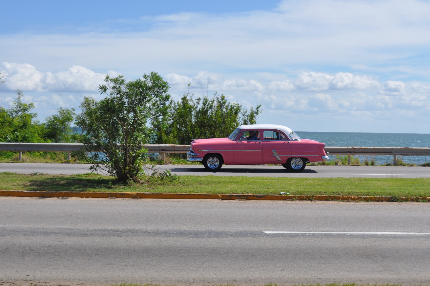 DSC_0369.JPG