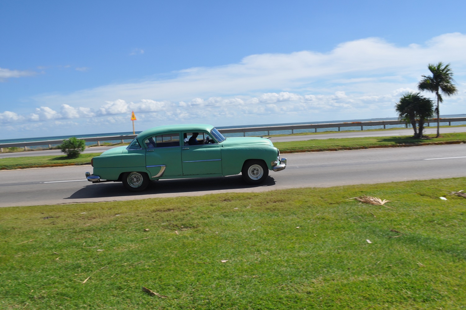 DSC_0373.JPG