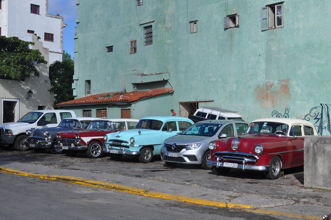 DSC_0705.JPG