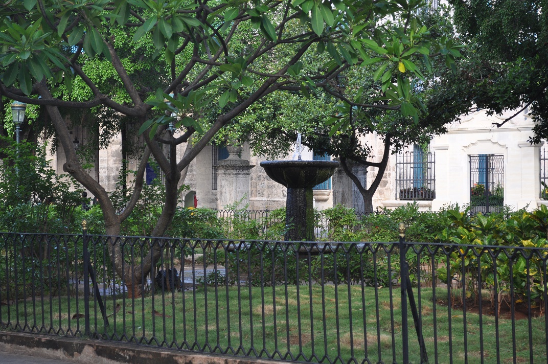 DSC_0707.JPG