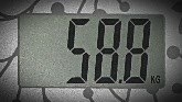 58.8.jpg
