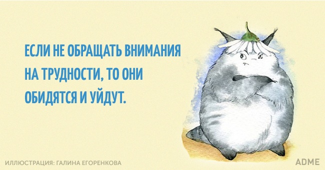 09.jpg