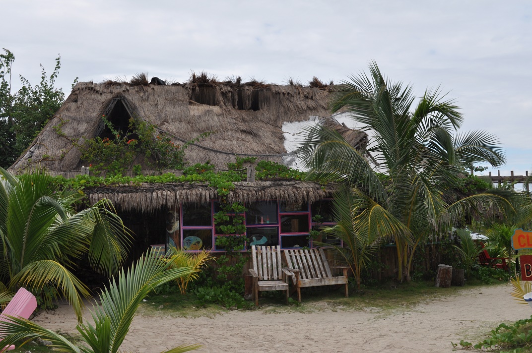 DSC_0119.JPG