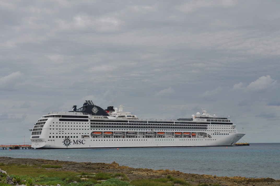 DSC_0163.JPG